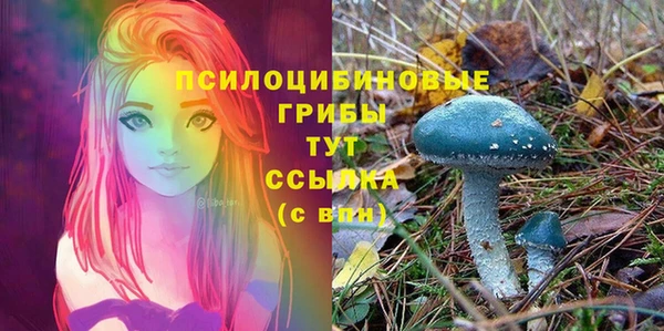 spice Бородино