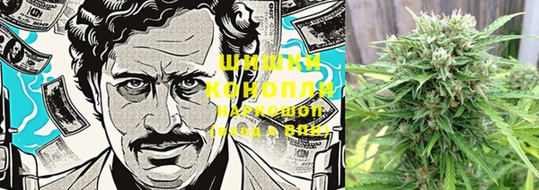 гашик Бугульма