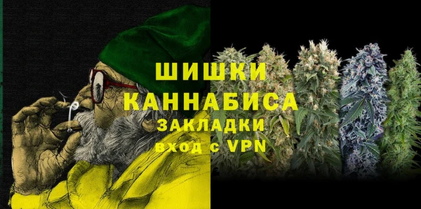 дурь Бронницы