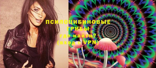 дурь Бронницы