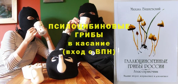 дурь Бронницы