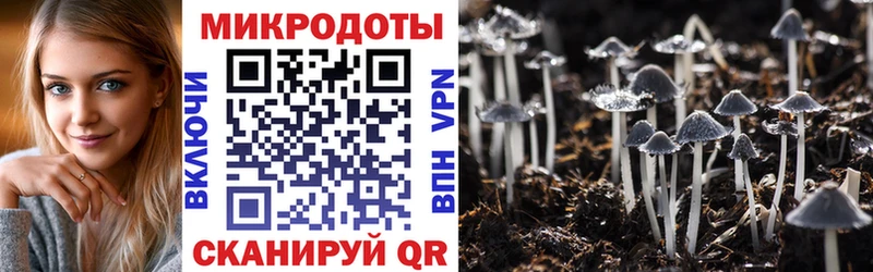блэк спрут ссылки  Очёр  Псилоцибиновые грибы мицелий 